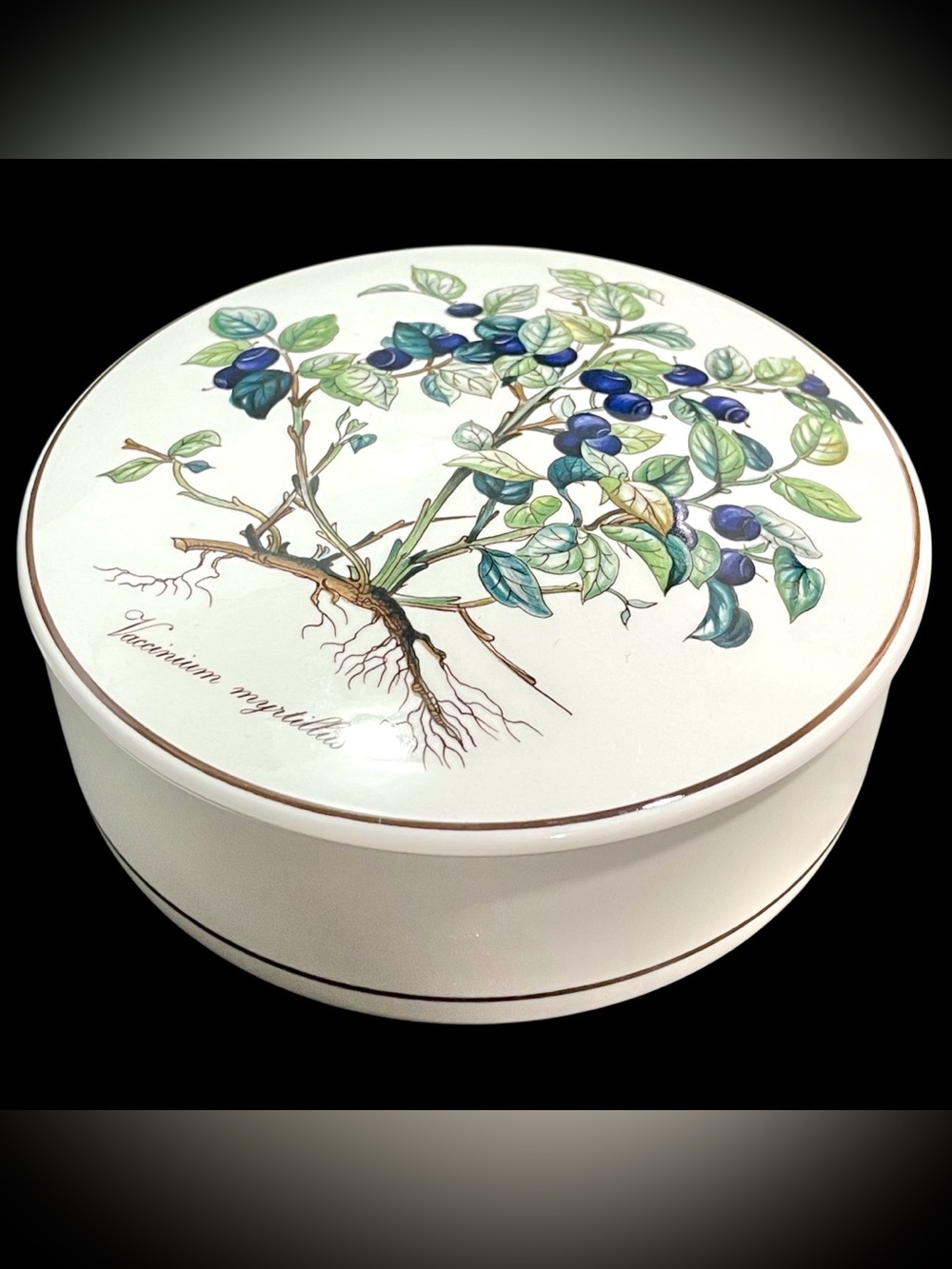 Vintage 1980s Villeroy & Boch Luxembourg "Botanica" Porcelain Trinket Box